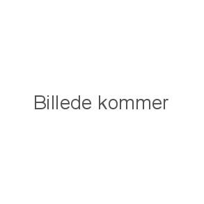 Lys til Batteri